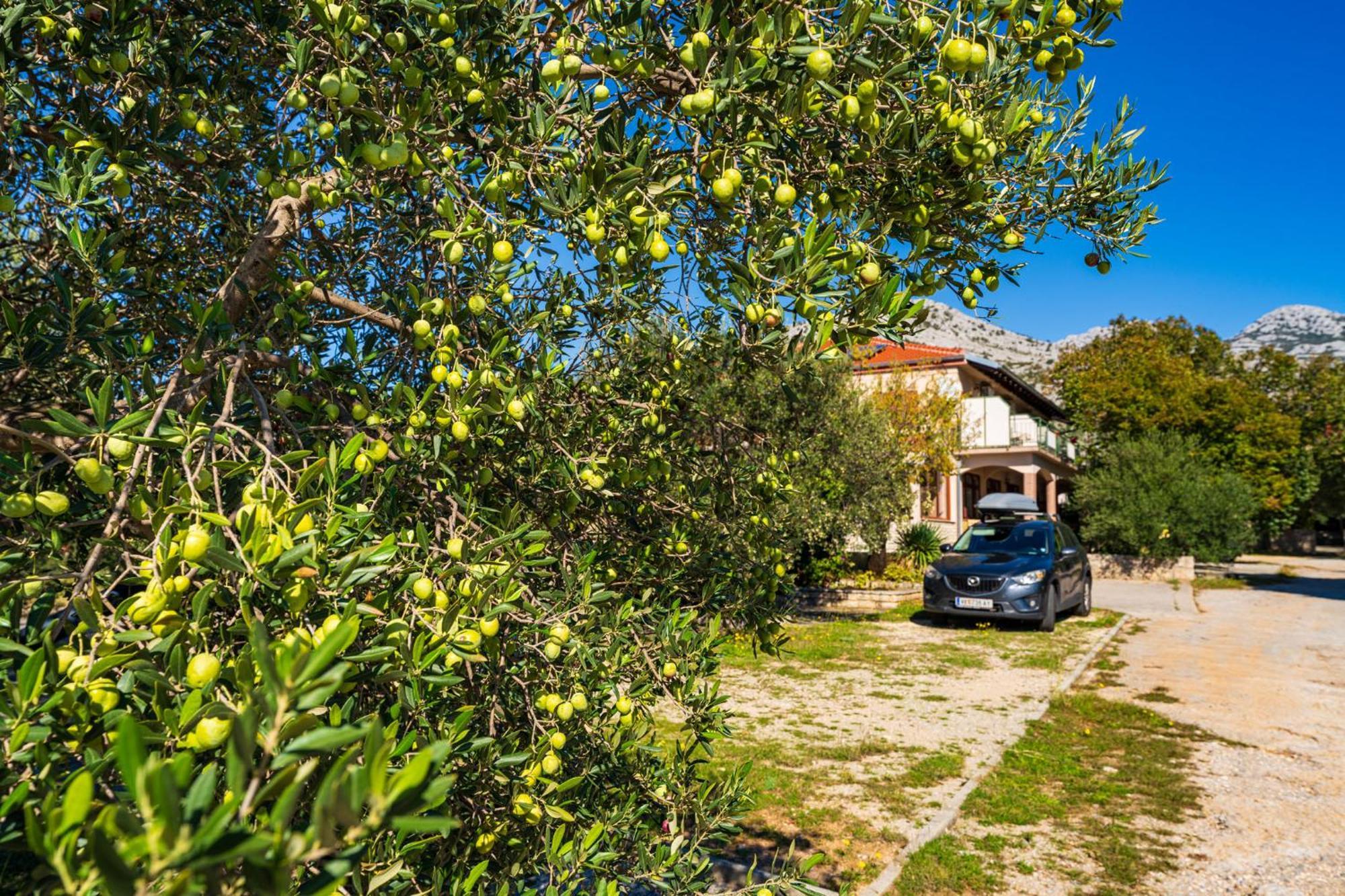 Apartments Adriana Starigrad Paklenica Luaran gambar